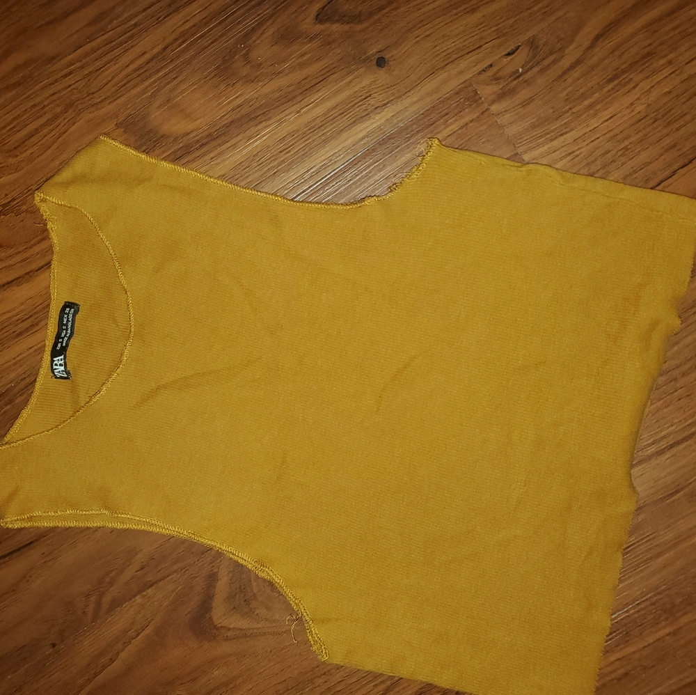 Zara crop top